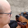 Avatar do usuário