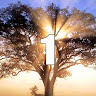 Avatar do usuário